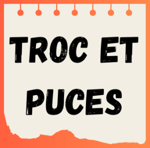 Troc et puces - Chelles