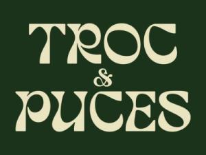 Troc et puces, bourse aux jouets - Inzinzac-Lochrist