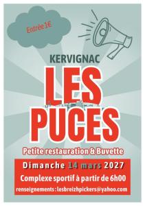 Les puces du printemps - Kervignac