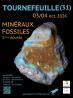 37ème Bourse aux Minéraux et Fossiles - Tournefeuille