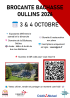 Brocante, Vide-greniers - Sainte-Foy-lès-Lyon