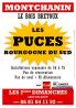 Puces brocante collection - Montchanin