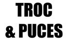 Troc et puces - vide grenier - salon du collectionneur - Pontivy