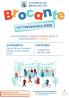 Brocante, Vide-greniers - Brouage