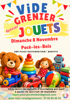 Vide-greniers spécial jouets - Pocé-les-Bois