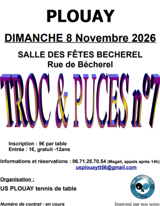 Troc et puces - Plouay