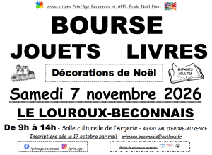 Bourse aux jouets, livres enfants et adultes, décorations de Noël - Le Louroux-Béconnais