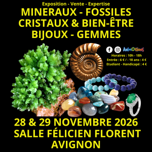 Salon Minéraux Fossiles Cristaux & Bien-Être Bijoux et Gemmes d’Avignon + Expo Préhistorique - 